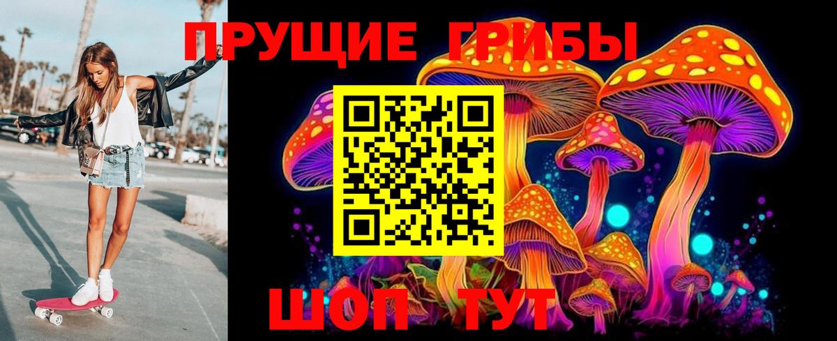 Галлюциногенные грибы Cubensis Михайловка